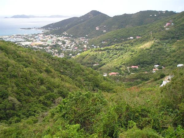Charlotte Amalie, Saint Thomas: town and harbor among lush green hills