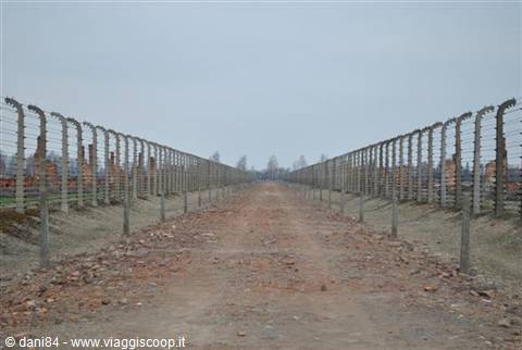 Birkenau