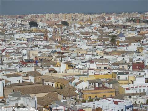 White rooftops and low houses of Seville seen from above