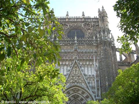 Gothic facade of Seville Cathedral framed by green branches, daylight