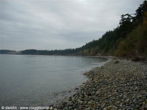 lummi island
