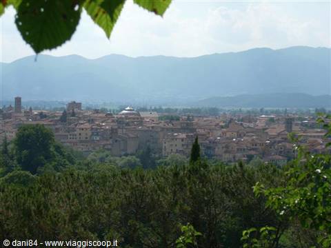 Rieti