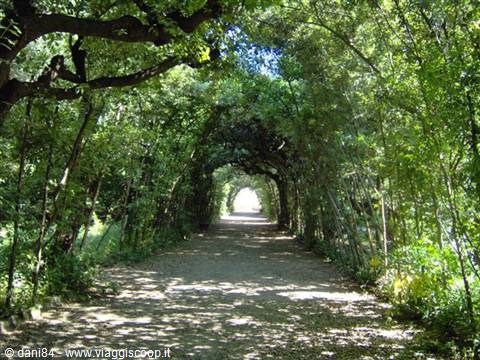boboli garden