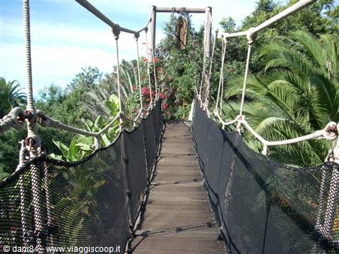 Arona jungle park