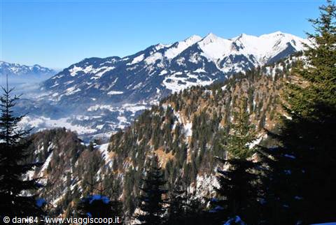 Snow-capped peaks above fir forests in Val di Fiemme, winter light