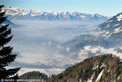 snowy alpine valley covered in fog between snowcapped peaks and fir trees