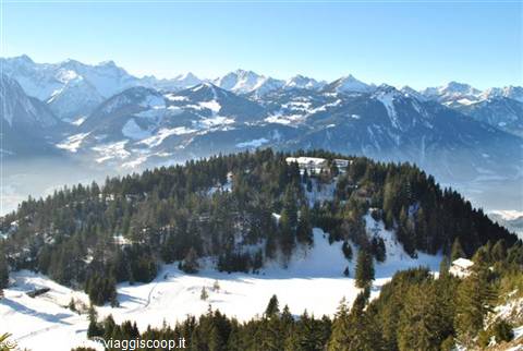 Snow-covered fir forest on a hill, snowy alpine mountain ranges under blue sky
