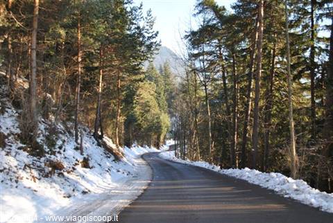 Snowy asphalt road winding among firs and pines, mountain ahead