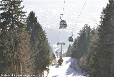 Gondola cable cars above the snow between firs on the ski slope