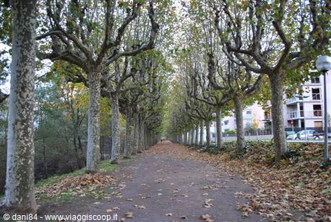 Olot