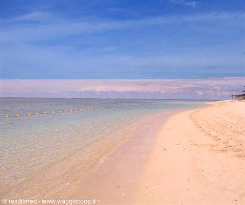 White sand beach with turquoise shallow water and floating buoys under blue sky