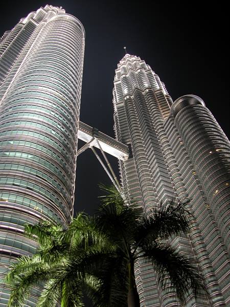 Illuminated Petronas Towers at night with palm trees in Kuala Lumpur