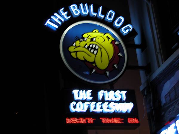 Neon sign of The Bulldog coffeeshop, yellow bulldog glowing in the night