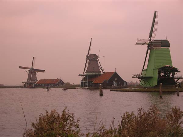 Wooden windmills, one green, standing on the water under pink sky