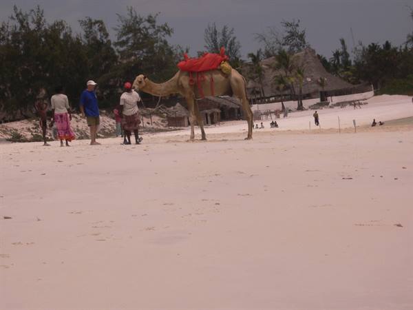 Beach in Watamu