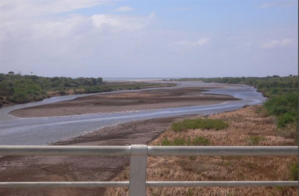 River with sandbanks and vegetation seen from a bridge railing