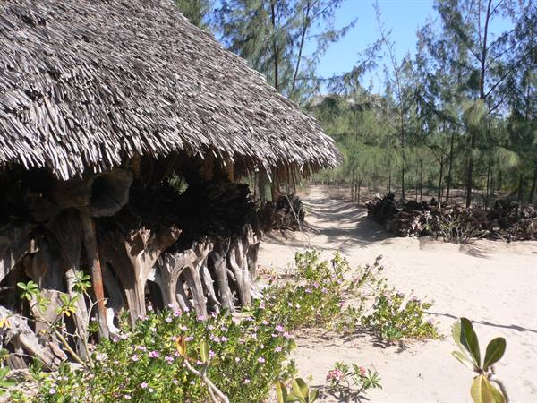 Robinson Island