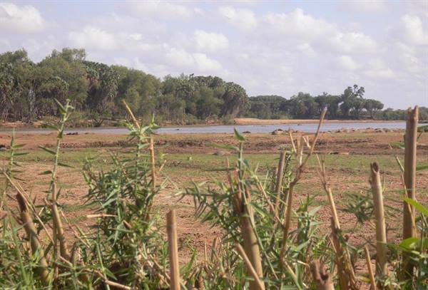 Tsavo