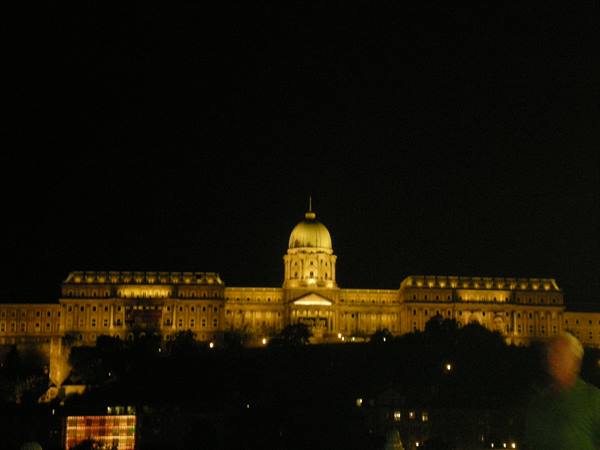 Budapest castle by night