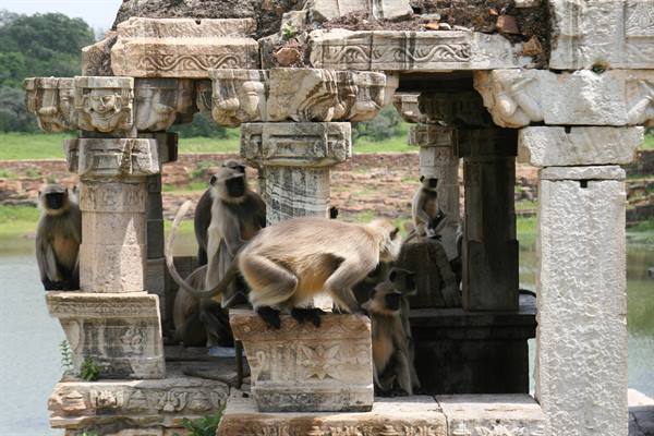 chittaurgarh