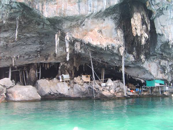 Limestone cave with stalactites over turquoise water, wooden scaffolding for nest harvesting