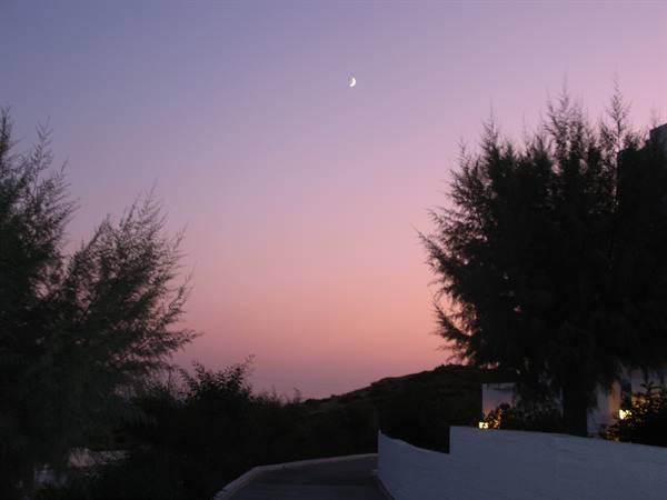 Crescent moon over pink-violet sky, dark trees and white wall