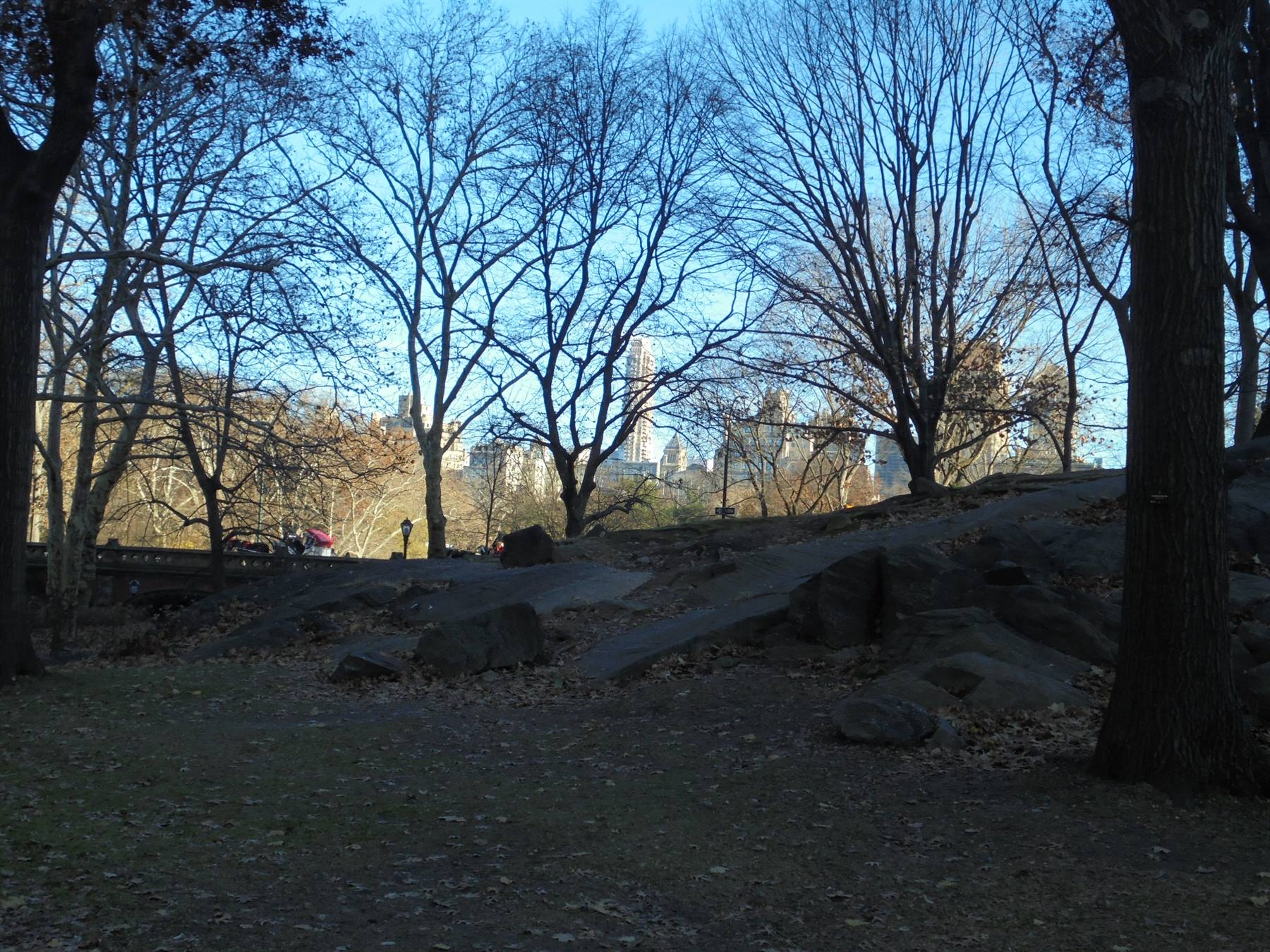 Alberi spogli e rocce granitiche al Central Park, grattacieli di Manhattan tra i rami