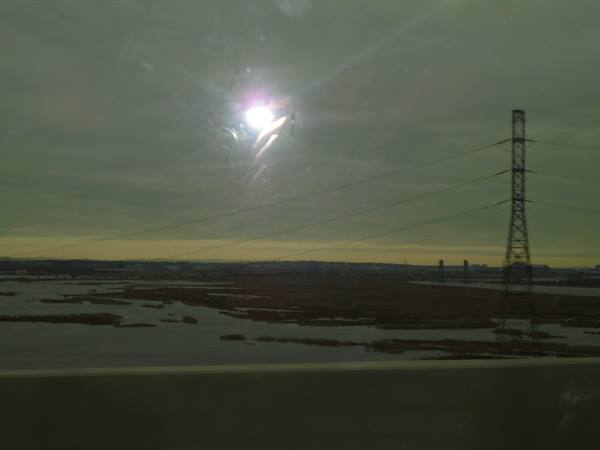 Frozen marshland with electricity pylon seen from a moving train