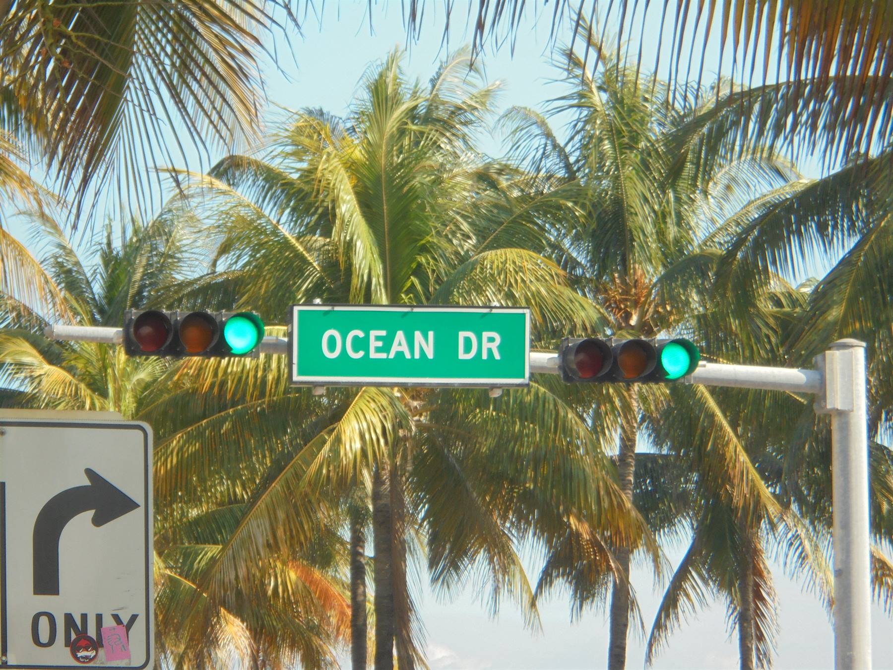 Cartello verde Ocean Dr con semafori verdi tra palme a Miami Beach