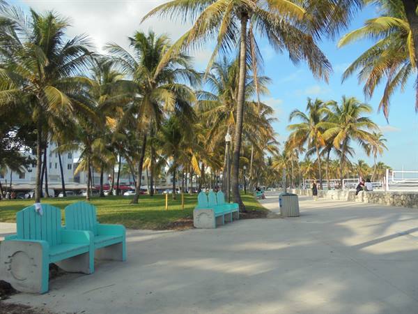 Turquoise concrete benches under palm trees, Ocean Drive in Miami Beach