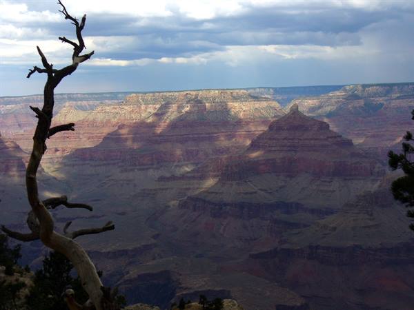 Dead branch in front of Grand Canyon red cliffs under heavy clouds