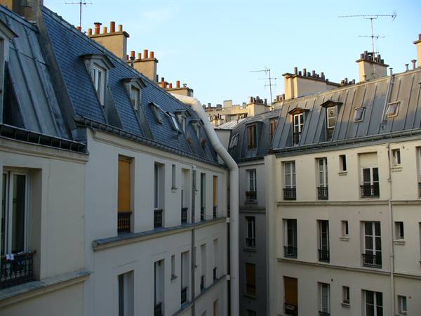 Grey zinc rooftops and pale facades of Parisian buildings