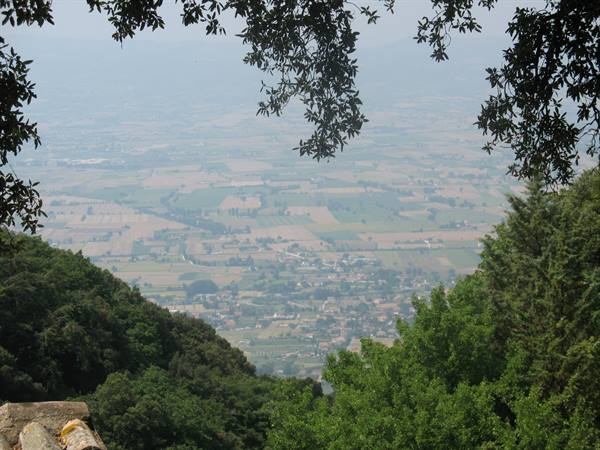 Tree branches frame farmland and scattered houses in the valley below