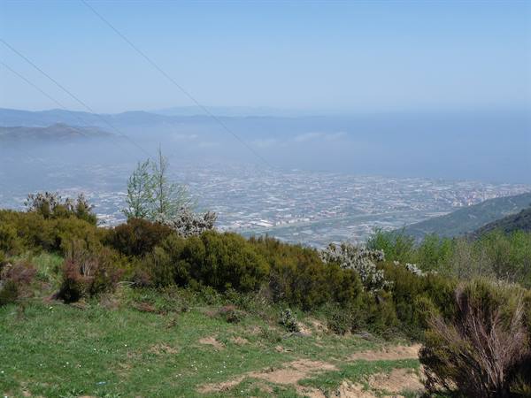 Albenga