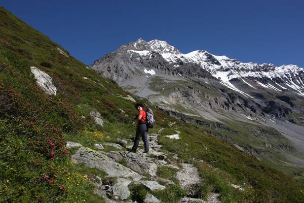 Col de la Vanoise