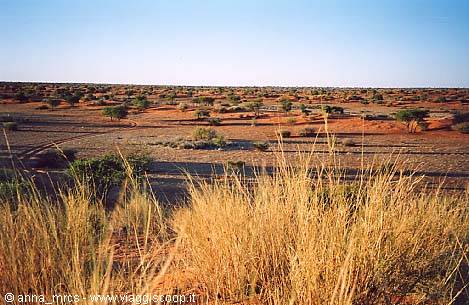 Kalahari Desert