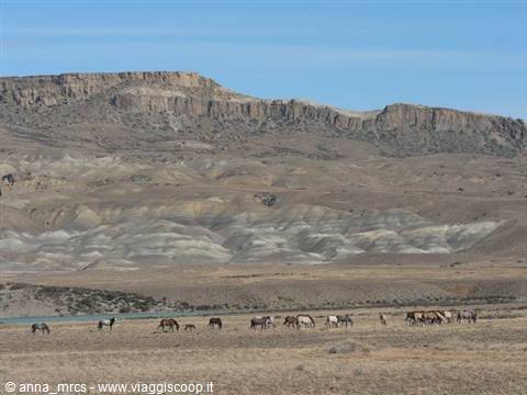 Patagonian panorama along route 40