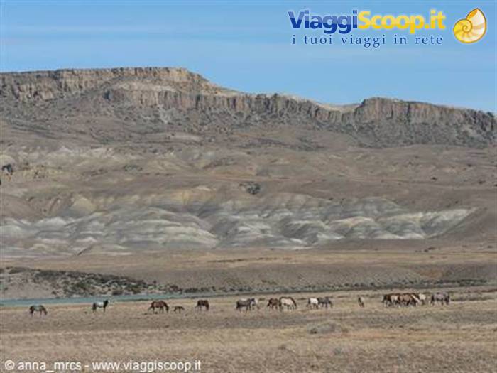Patagonian panorama along route 40