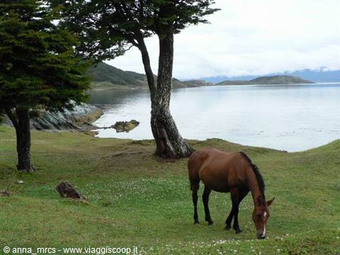 Tierra del Fuego National Park