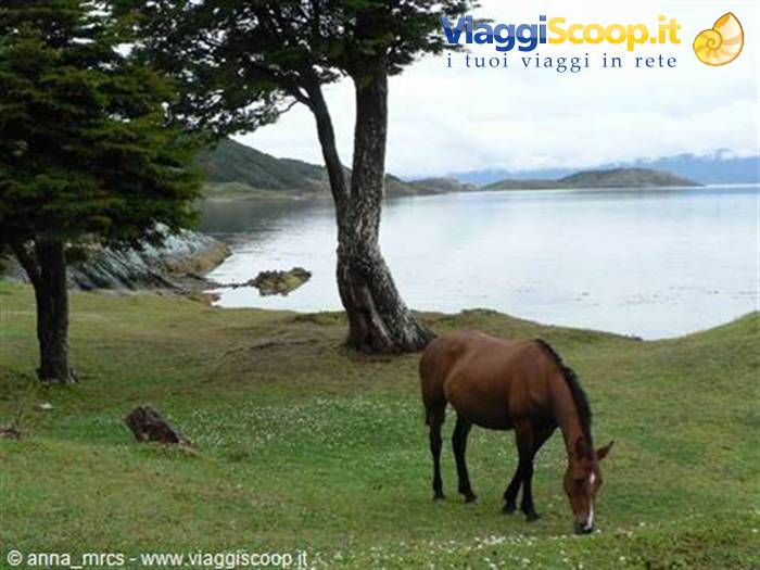 Tierra del Fuego National Park