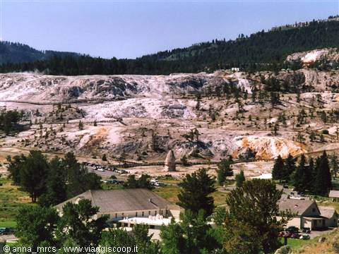 Mammoth Hot Spring (Yellowstone NP - WY)
