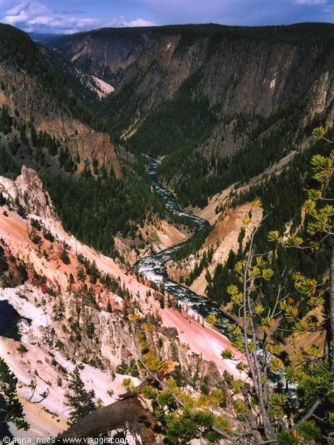 Yellowstone River (Yellowstone NP)