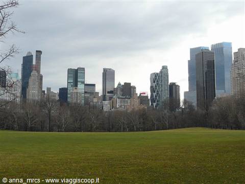Midtown Manhattan from Central Park