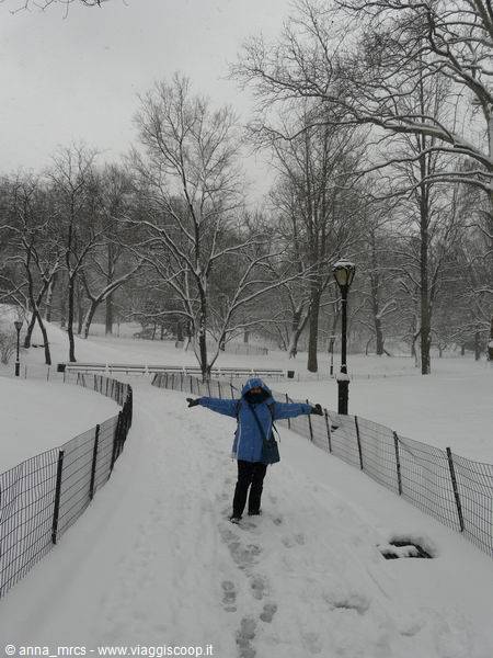 Central Park