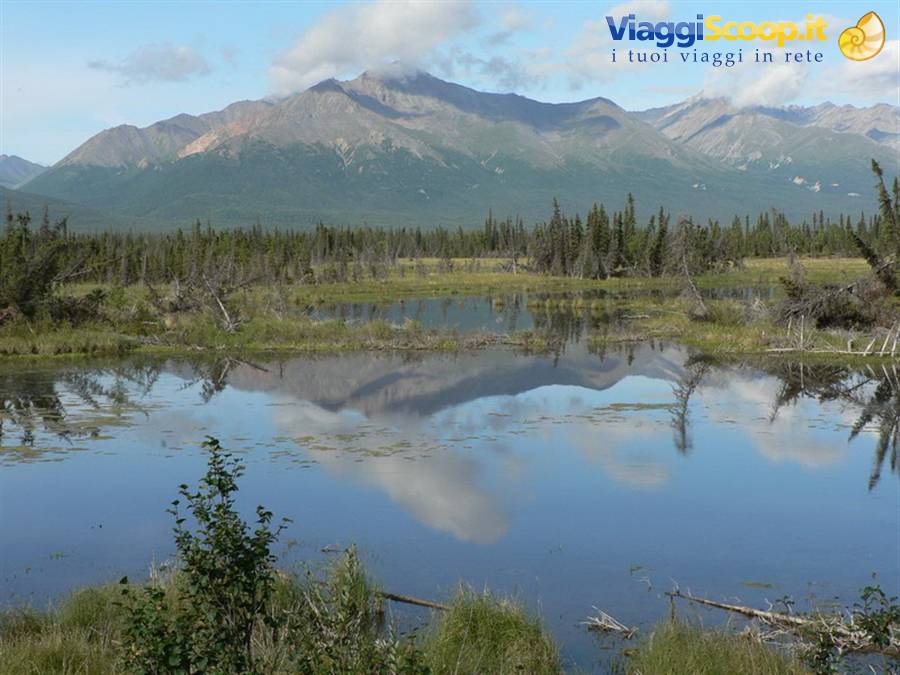 Along Nabesna Road - Wrangell St Elias National Park