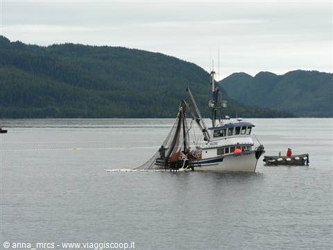 Fishing boats in Prince William Sound
