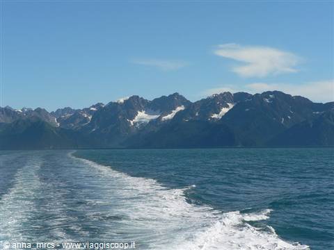 Resurrection Bay - Kenai Fjords National Park