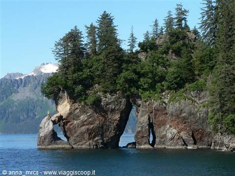 Resurrection Bay - Kenai Fjords National Park