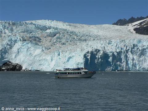 Aialik Glacier - Kenai Fjords National Park