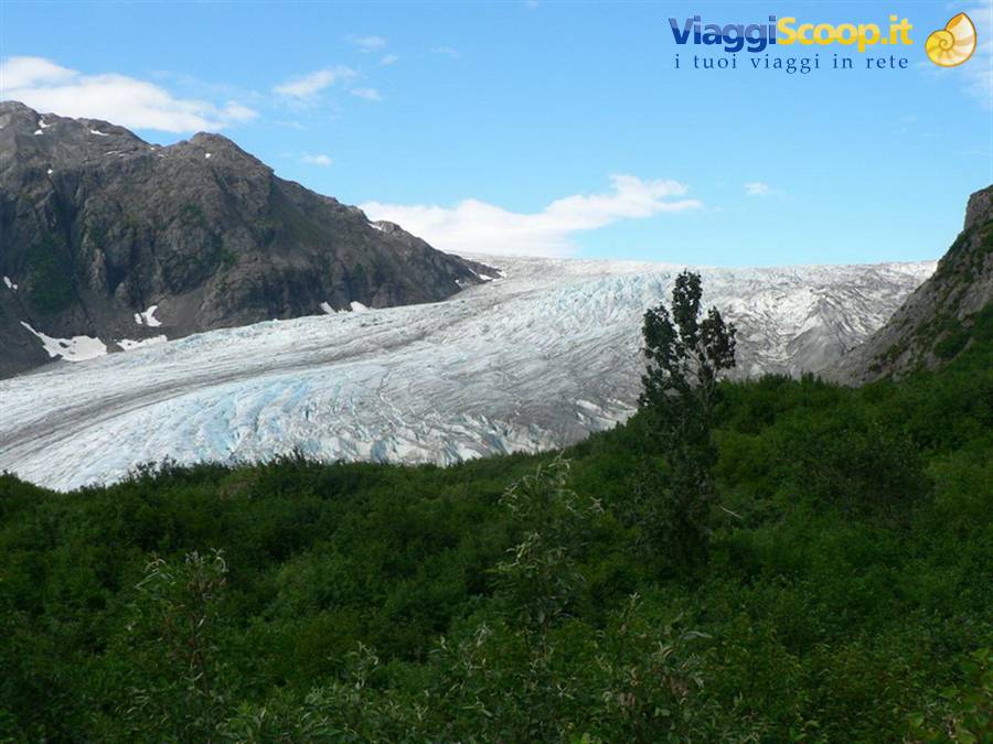 Exit Glacier - Kenai Fjords National Park